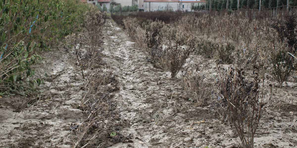 Maltempo in Toscana, sale la conta dei danni